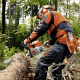 MS 362 C-M Corte 40cm 3/8" Motosierra STIHL Forestal 4,8 CV